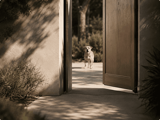 A dog standing in an open garden doorway